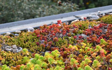 the cost of Reach green roof installation
