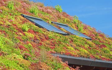 Reach living roof systems