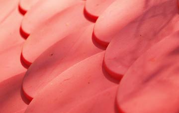 Reach plastic roof costs