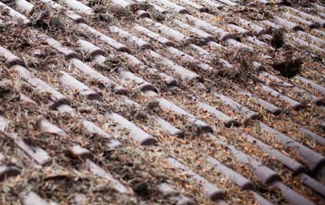 Reach roof cleaning companies